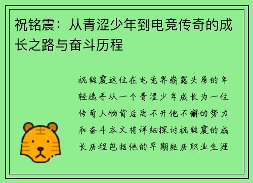 祝铭震：从青涩少年到电竞传奇的成长之路与奋斗历程